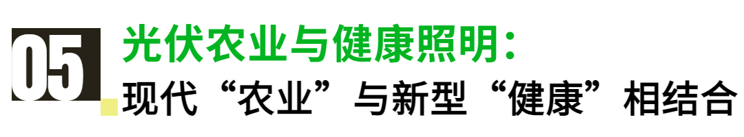 广州国际照明展