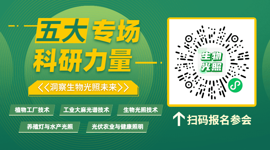 广州国际照明展