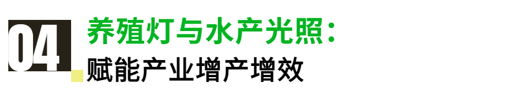 广州国际照明展