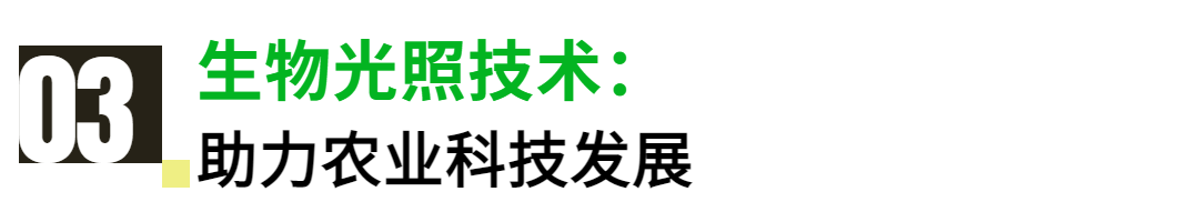 广州国际照明展