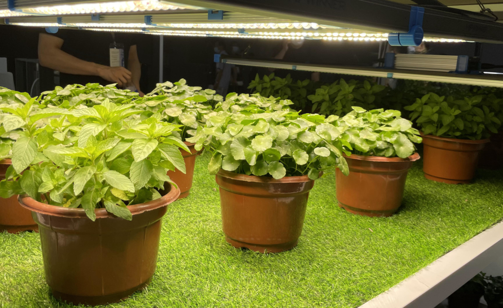 2023广州国际照明展览会