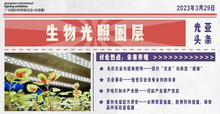 光亚照明展