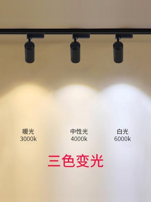 光亚展