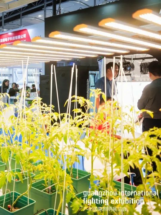 广州国际照明展览会